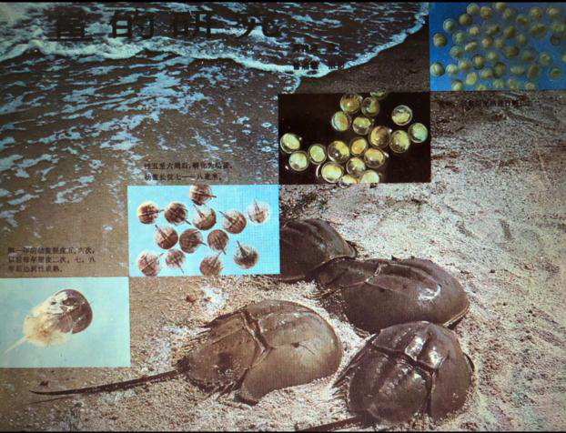 1565934335748829.png 圖片2.png